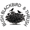 Bush, Blackbird & Thrush