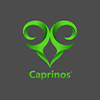 Caprinos - Leicester