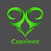 Caprinos Pizza - Burslem