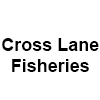 Cross Lane Fisheries