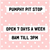 Pumphy Pit Stop
