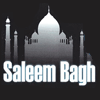 Saleem Bagh