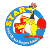 Star Fried Chicken
